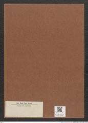 Diatomeae indet. Zeichnungen Sammlung Grunow Mappe 02340 (Herbarium_W_Grunow_drawings_Folder_02340)